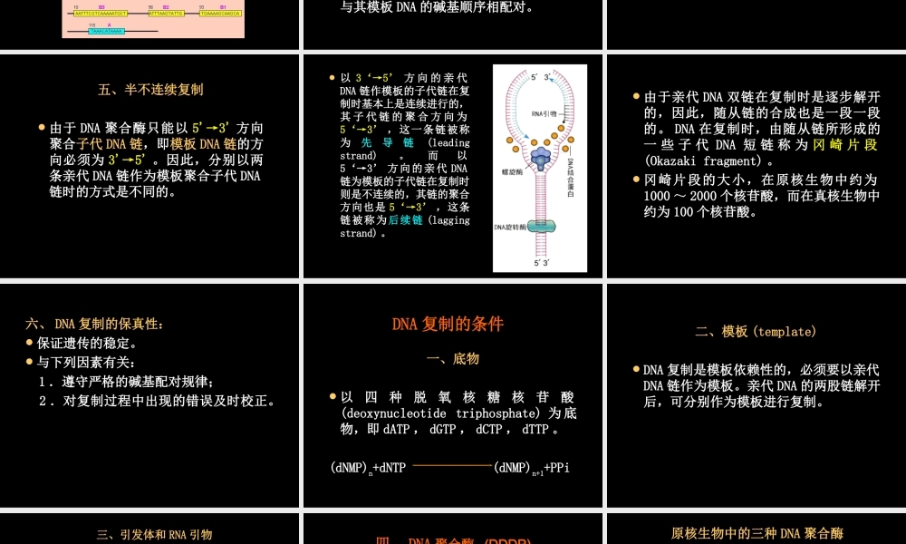DNA replication DNA的生物合成.ppt