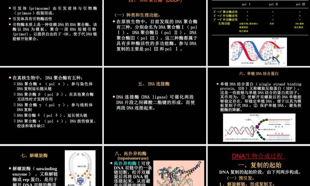 DNA replication DNA的生物合成.ppt