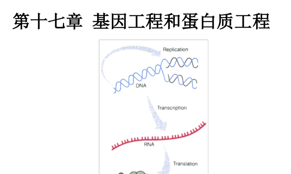 protein engineering.ppt