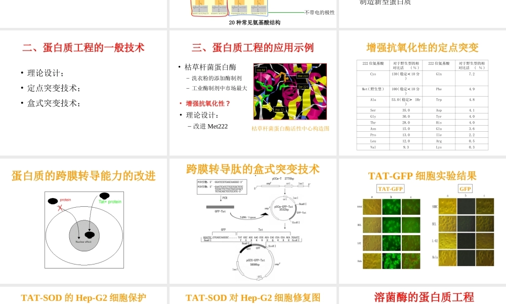 protein engineering.ppt