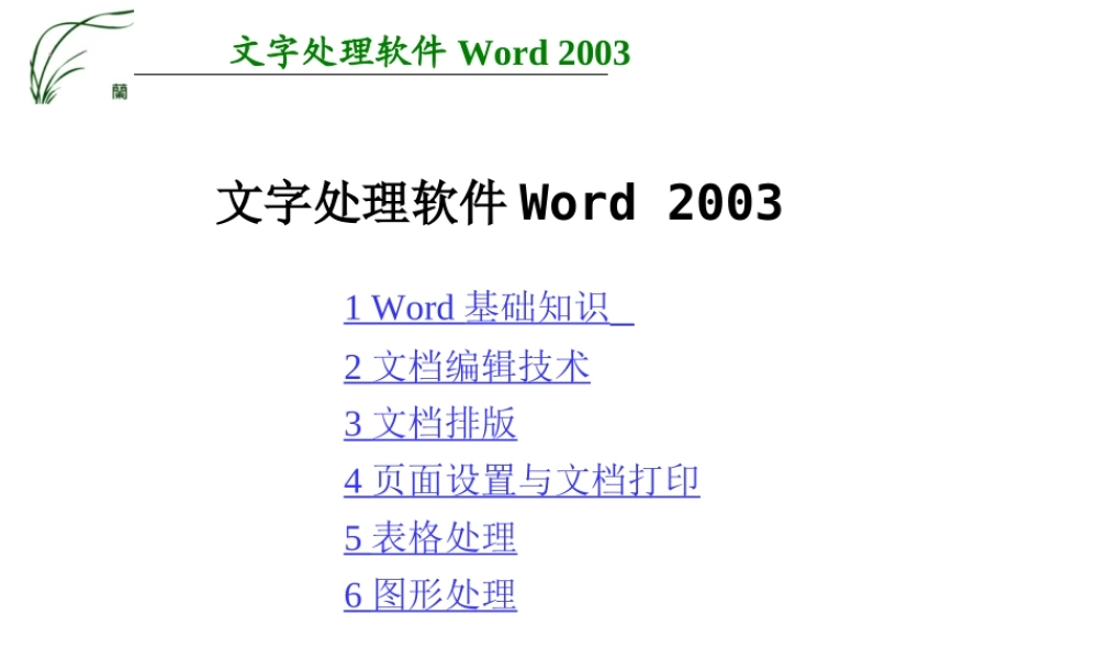 Word_2003课件.ppt