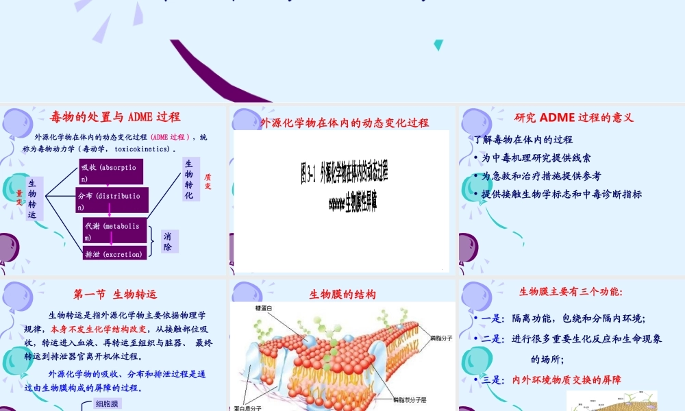 第三章 生物转运2013.ppt