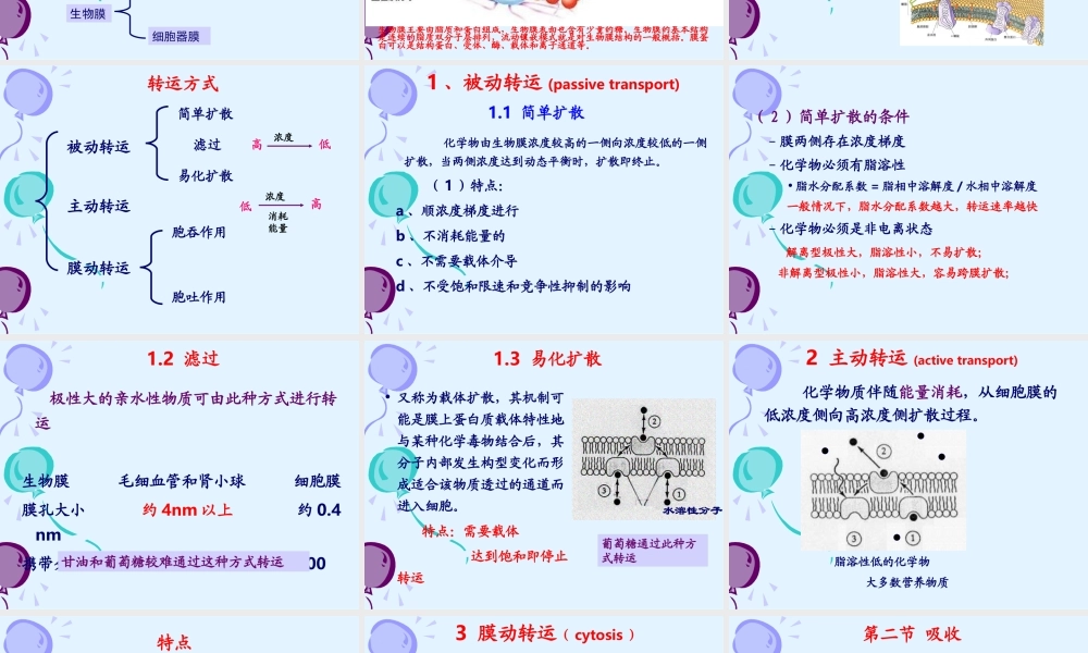 第三章 生物转运2013.ppt