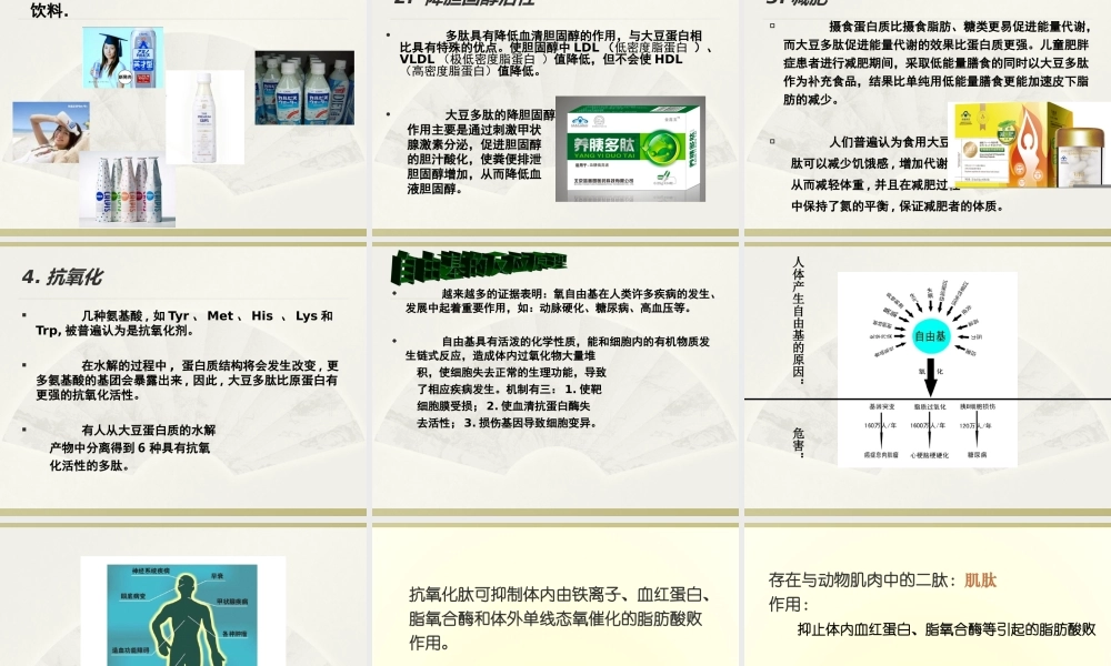 活性多肽-洪晶.ppt