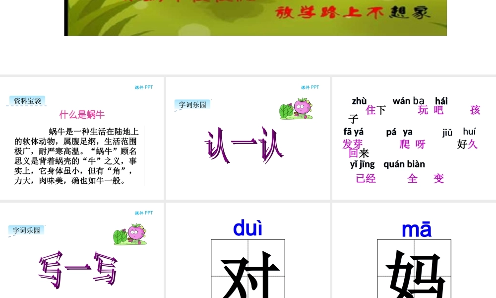 14小蜗牛.ppt