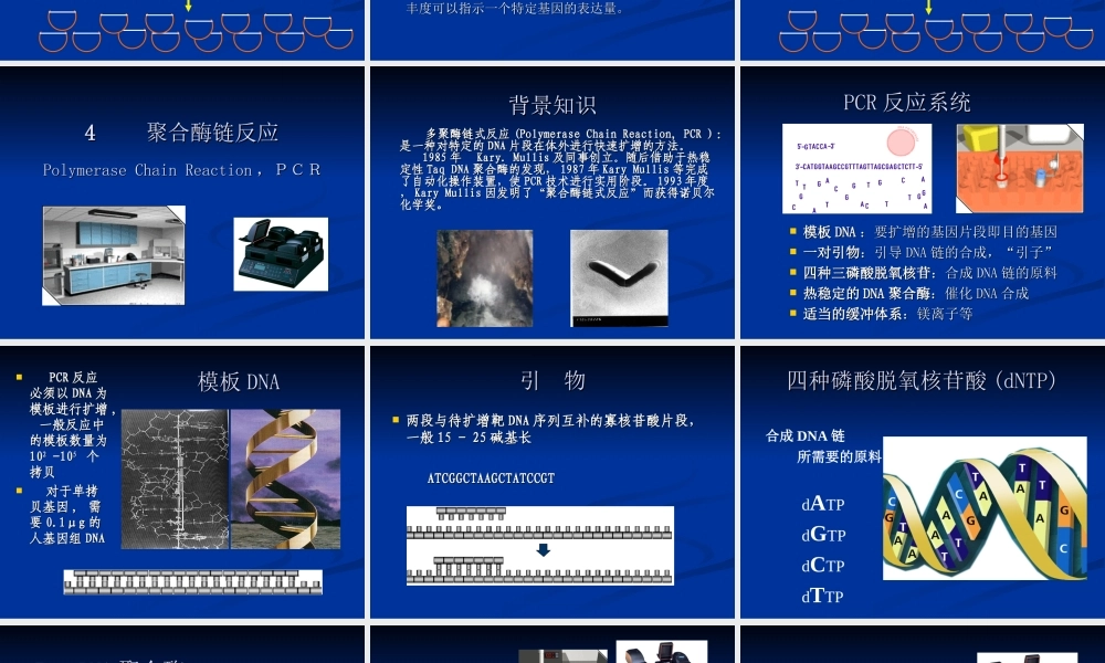 2014-4-5genetics(1).ppt