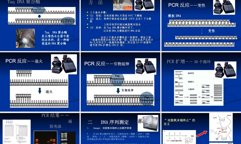 2014-4-5genetics(1).ppt