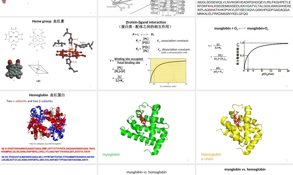 2017 protein function(1).ppt