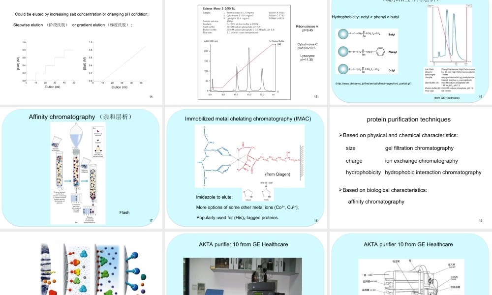 2017_protein_purification(1).ppt
