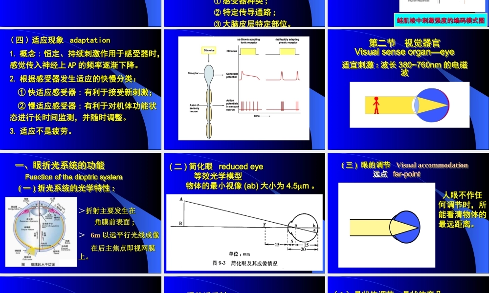 感觉器官.ppt