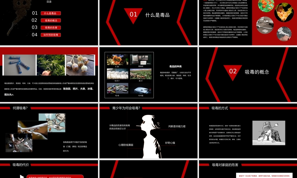 禁毒知识宣传推广PPT.pptx