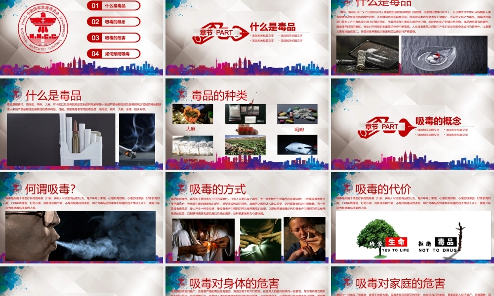 青少年禁毒教育ppt课件.pptx