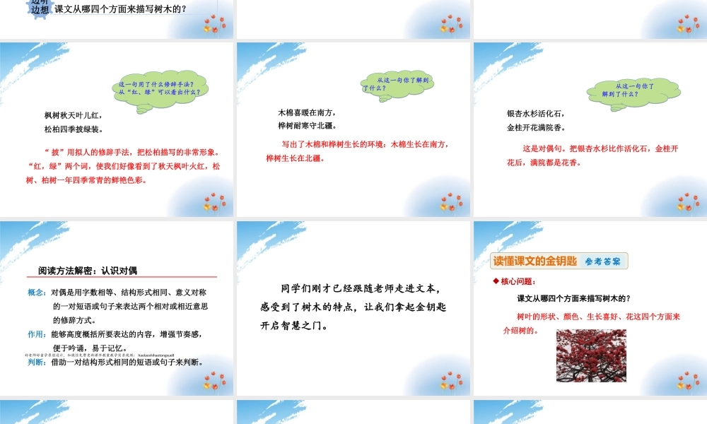 2.树【第2课时】.ppt