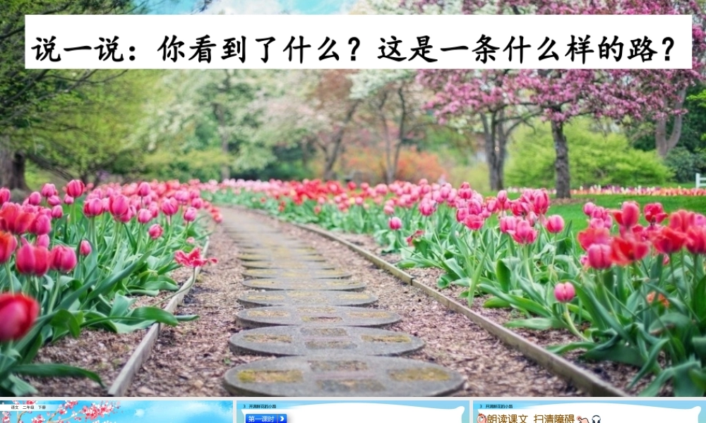 3 开满鲜花的小路.pptx