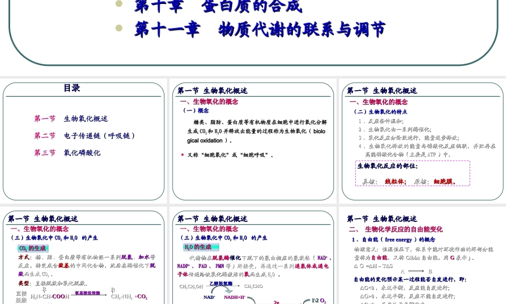 4生物氧化 (1).ppt