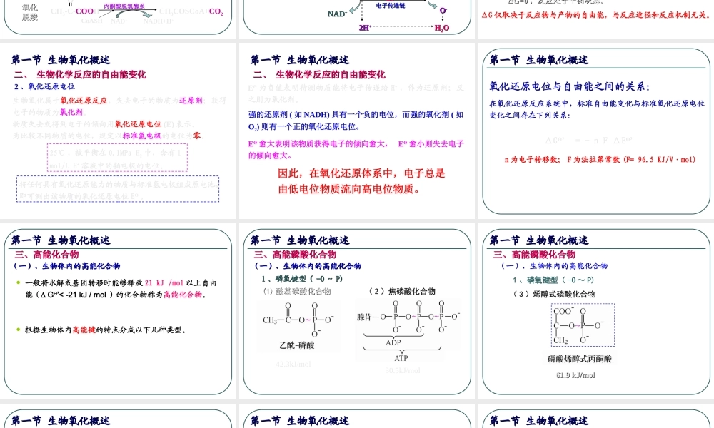 4生物氧化 (1).ppt