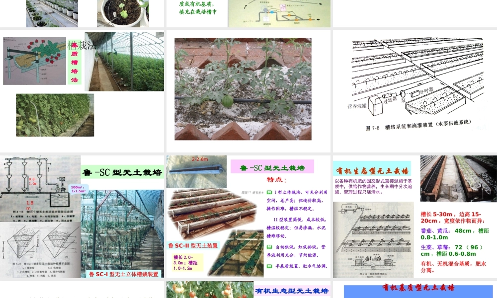 05基质栽培技术 (1).ppt