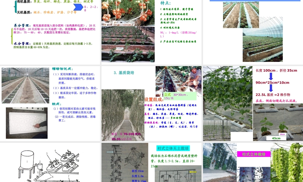 05基质栽培技术 (1).ppt