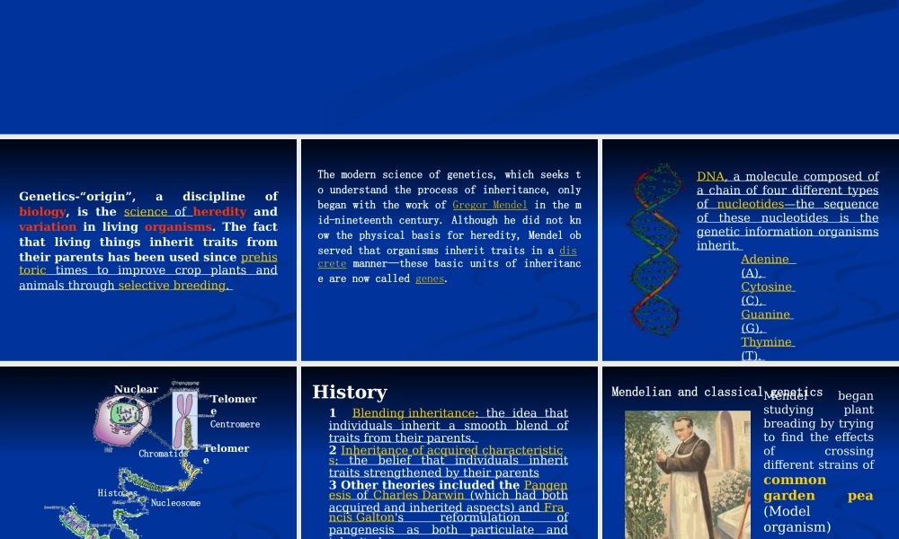 6Basis of Genetics专业英语-1(1).ppt