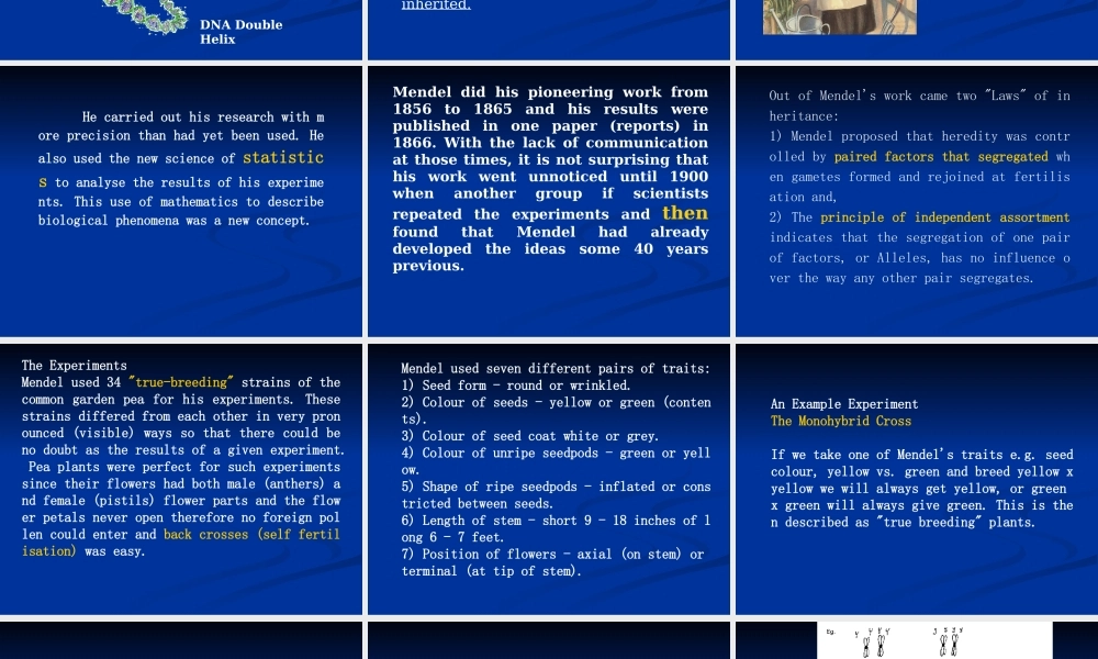 6Basis of Genetics专业英语-1(1).ppt