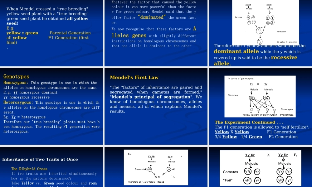 6Basis of Genetics专业英语-1(1).ppt