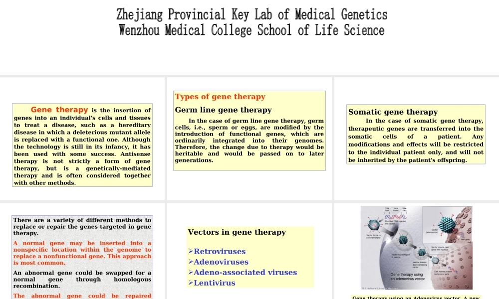 7gene therapy专业英语-2(1).ppt