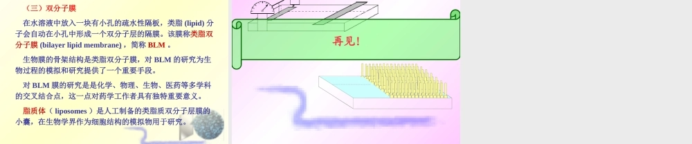 8.5不溶性表面膜.ppt
