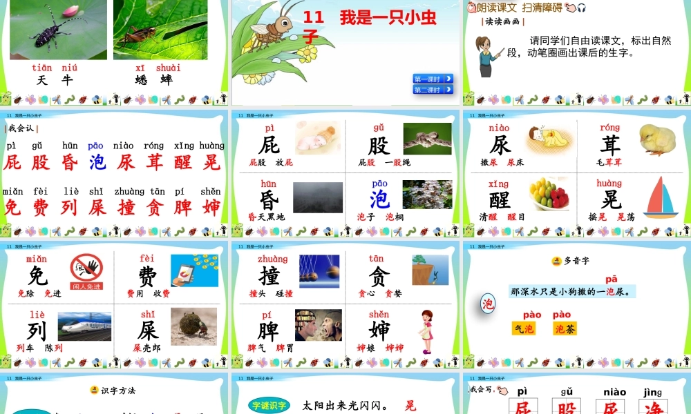 11 我是一只小虫子.pptx