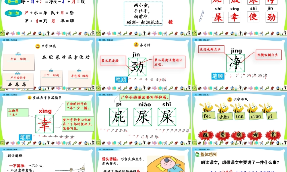 11 我是一只小虫子.pptx