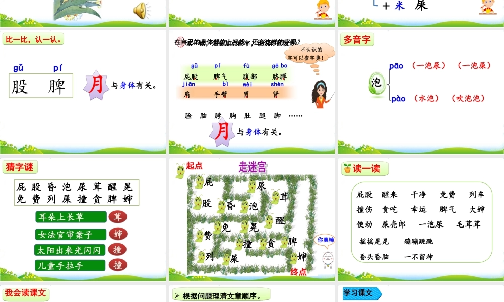 11 我是一只小虫子.ppt