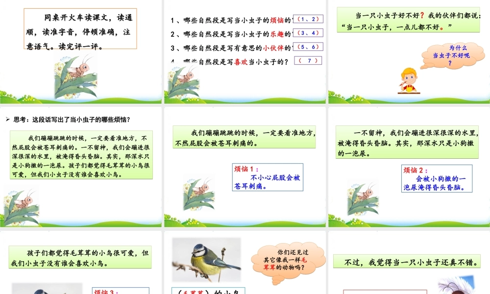 11 我是一只小虫子.ppt