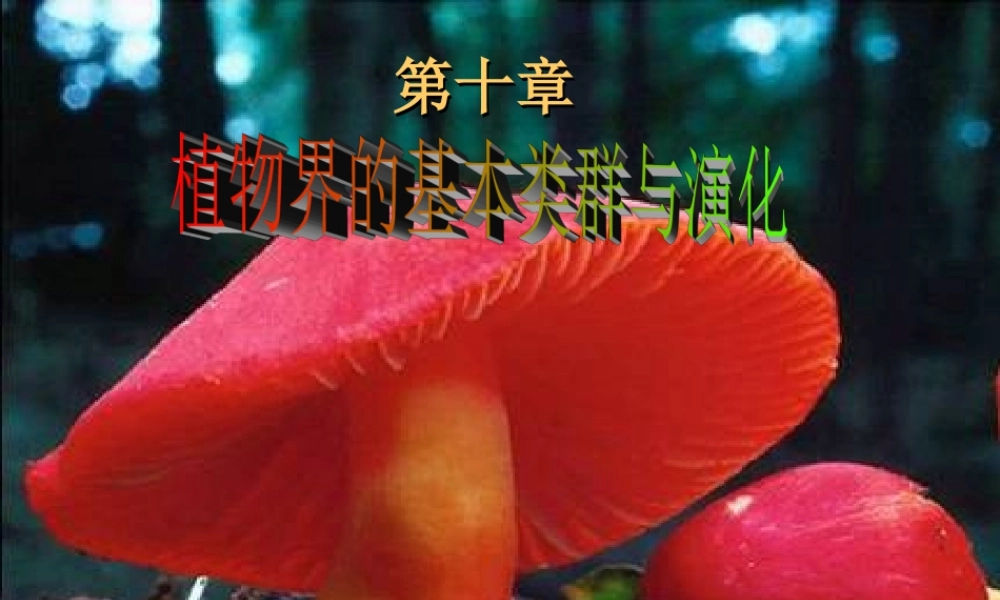 10-lower plant-0序论 1藻类.ppt
