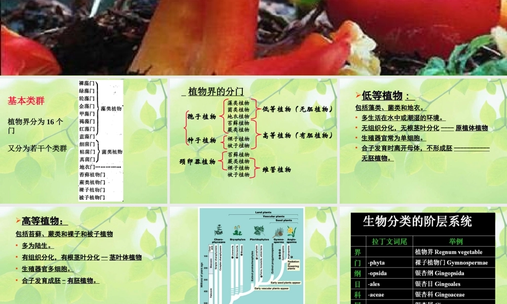 10-lower plant-0序论 1藻类.ppt