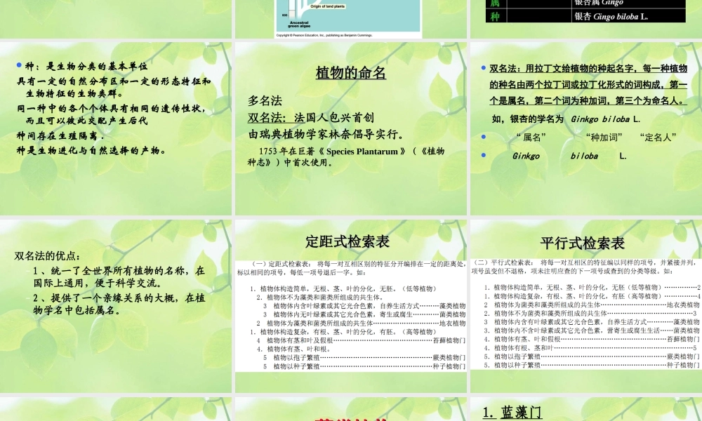 10-lower plant-0序论 1藻类.ppt