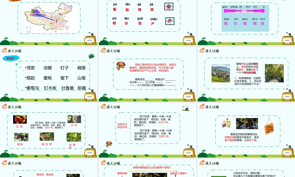 11葡萄沟课件.ppt