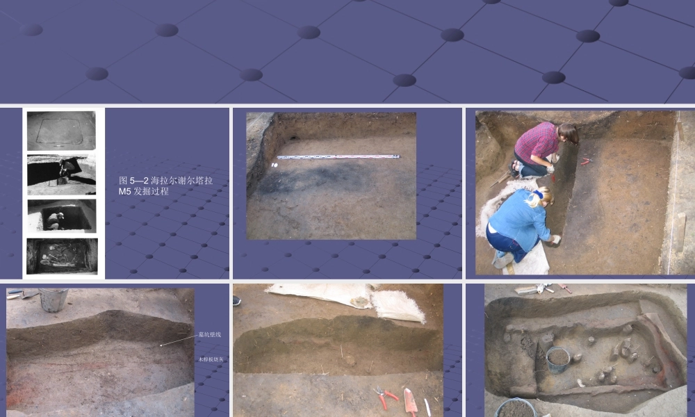 11竖穴墓葬发掘.ppt