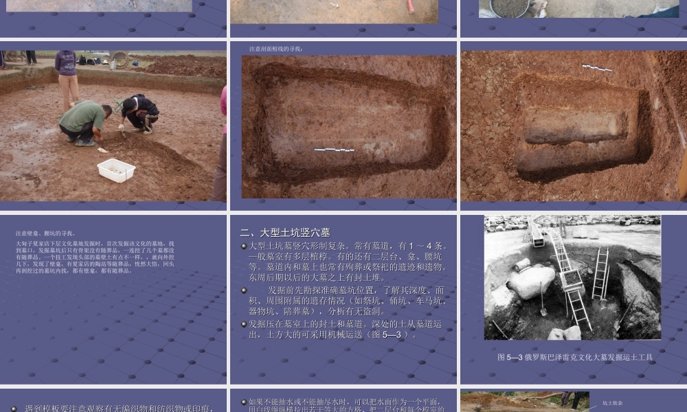 11竖穴墓葬发掘.ppt