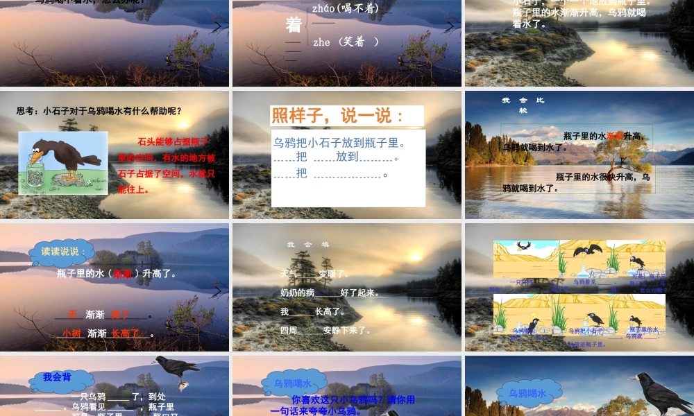 13.乌鸦喝水（精品）.pptx