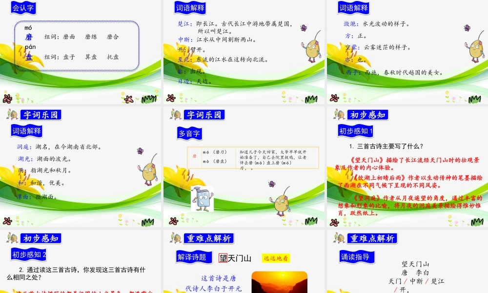 17.古诗三首.pptx