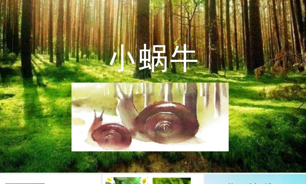 14.小画家（精品）(1).pptx