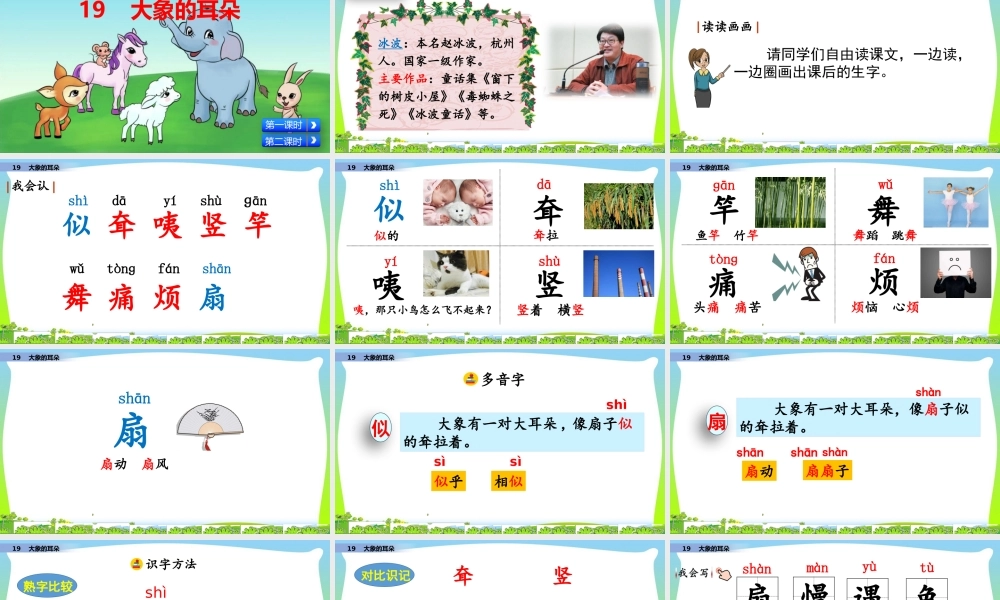 19 大象的耳朵.pptx