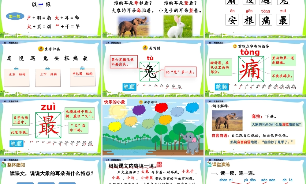 19 大象的耳朵.pptx