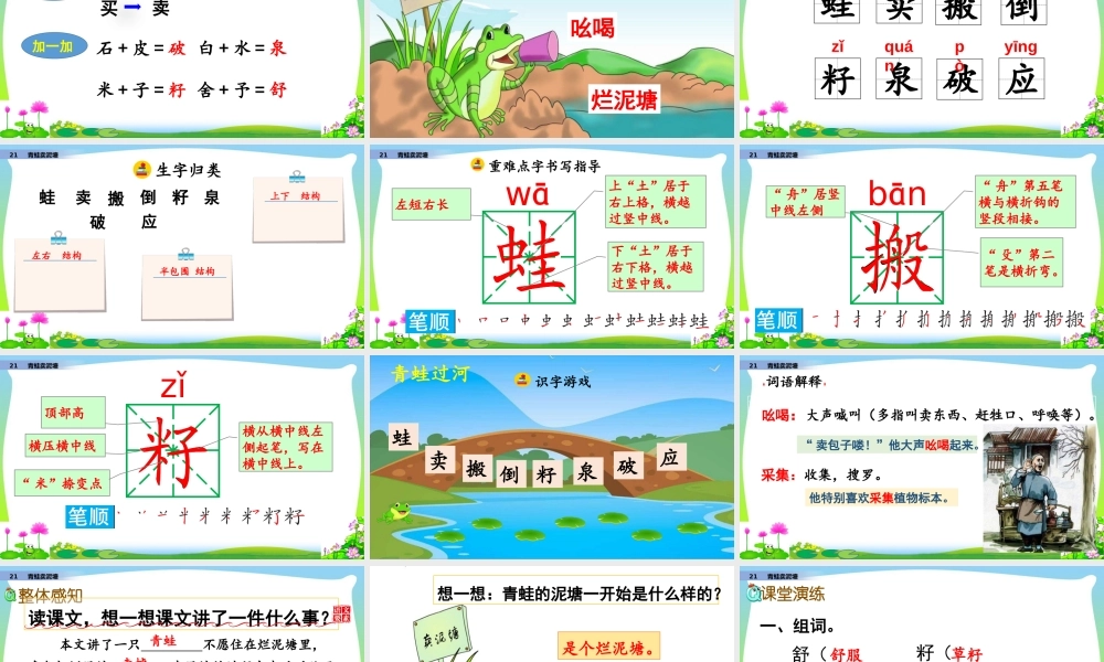 21 青蛙卖泥塘.pptx