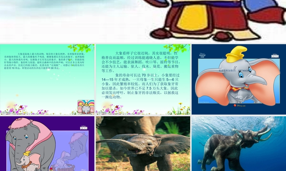 2017部编人教语文二年级上册4.《曹冲称象》课件ppt1.ppt