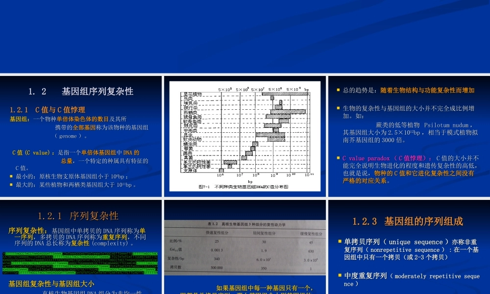 2014-2-3基因组学(1).ppt