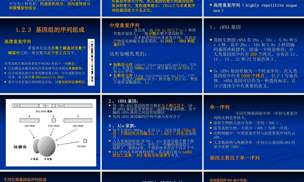 2014-2-3基因组学(1).ppt