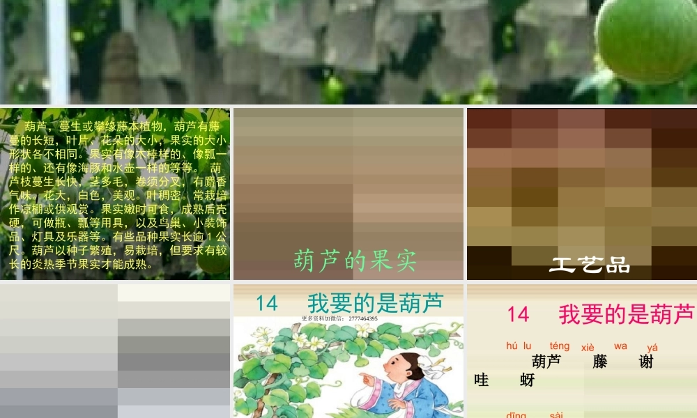 2017部编人教语文二年级上册14、我要的是葫芦ppt课件.ppt