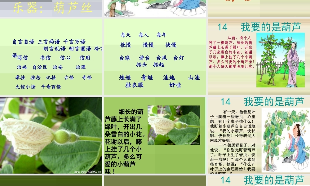 2017部编人教语文二年级上册14、我要的是葫芦ppt课件.ppt