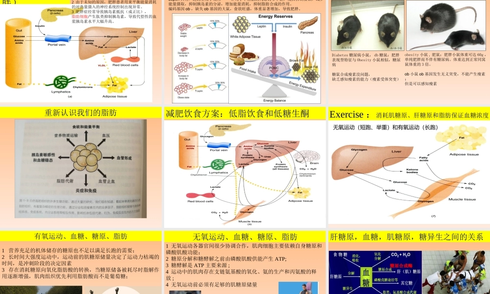 20170108-6代谢调节(1).ppt