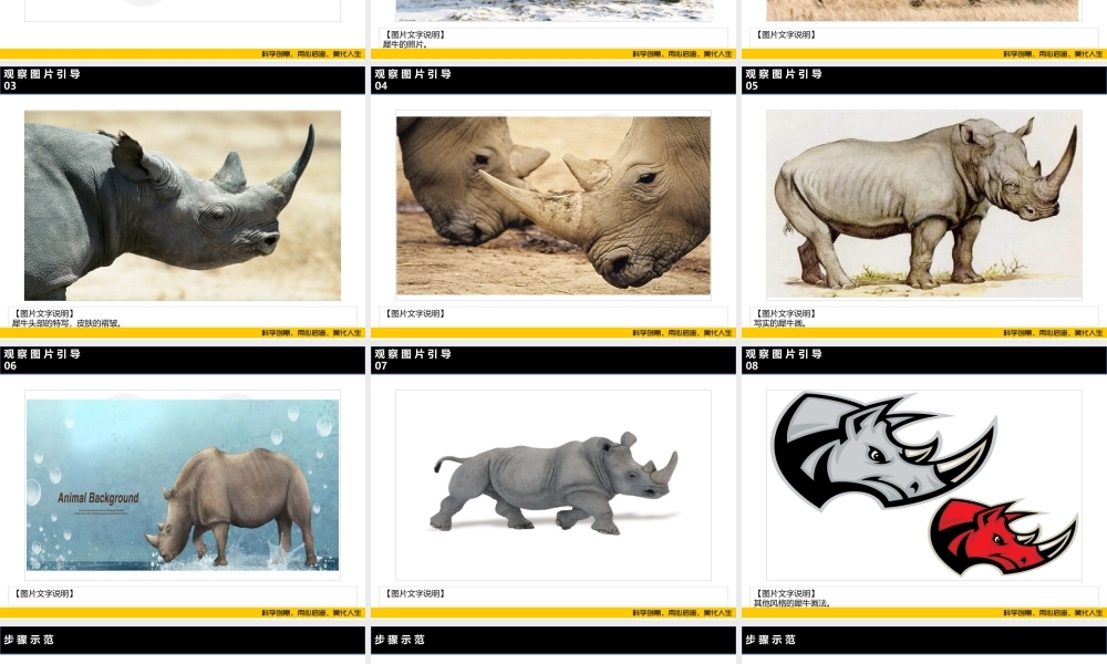 ART3《大犀牛》.PPT